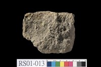 藏品(礫岩)的圖片